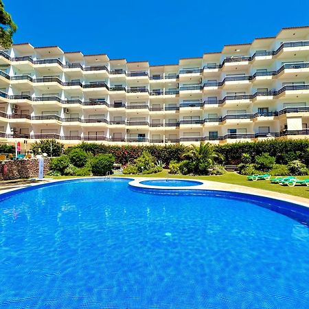 Vilamoura Palm Tree With Pool By Homing Eksteriør bilde